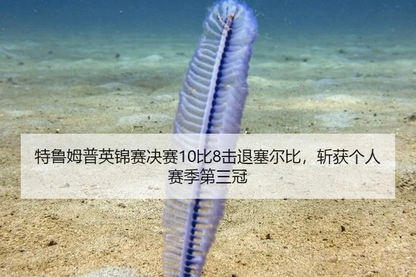特鲁姆普英锦赛决赛10比8击退塞尔比，斩获个人赛季第三冠