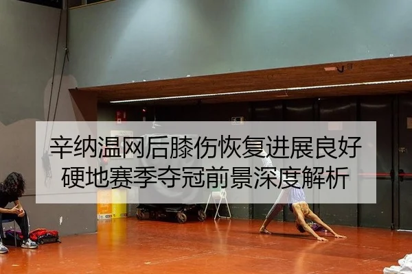 xin-na-wen-wang-hou-xi-shang-hui-fu-jin-zhan-liang-hao-ying-di-sai-ji-duo-guan-qian-jing-shen-du-jie-xi-2-779.jpg