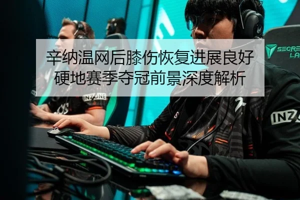 xin-na-wen-wang-hou-xi-shang-hui-fu-jin-zhan-liang-hao-ying-di-sai-ji-duo-guan-qian-jing-shen-du-jie-xi-3-891.jpg
