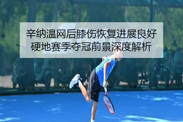 xin-na-wen-wang-hou-xi-shang-hui-fu-jin-zhan-liang-hao-ying-di-sai-ji-duo-guan-qian-jing-shen-du-jie-xi-1-573.jpg