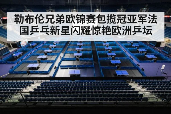 勒布伦兄弟欧锦赛包揽冠亚军法国乒乓新星闪耀惊艳欧洲乒坛