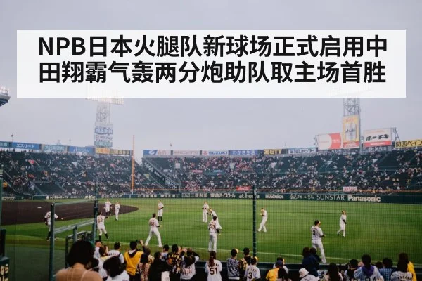 baseball fans celebrating